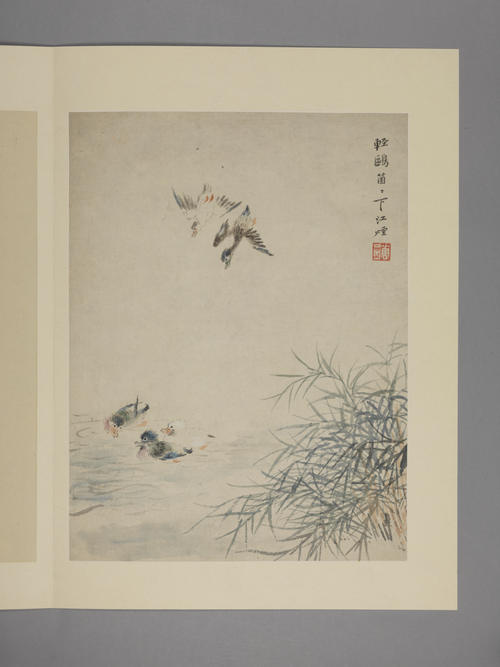 华喦花鸟图册, , Hua Yan