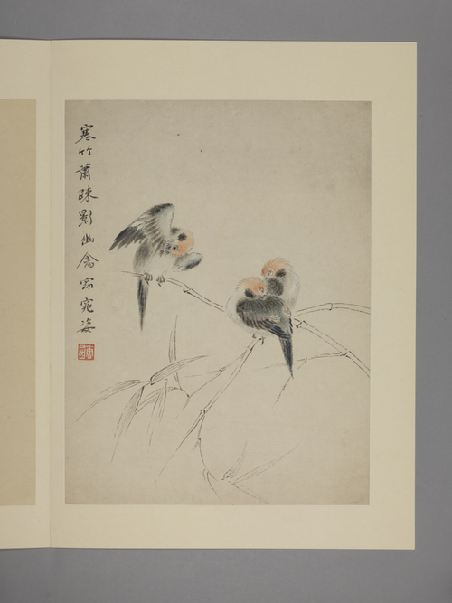 华喦花鸟图册, , Hua Yan