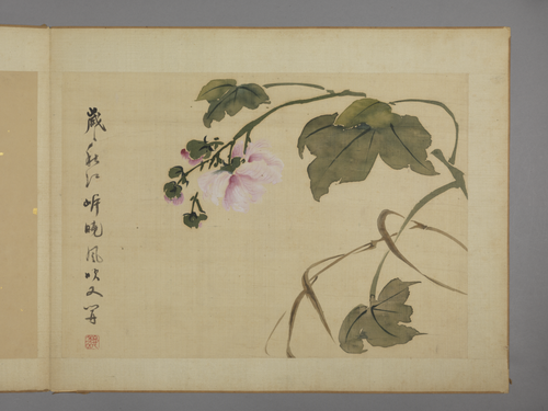华喦花卉图册, , Hua Yan