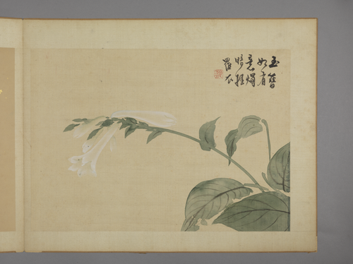 华喦花卉图册, , Hua Yan