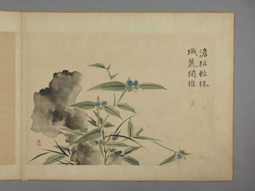 华喦花卉图册, , Hua Yan