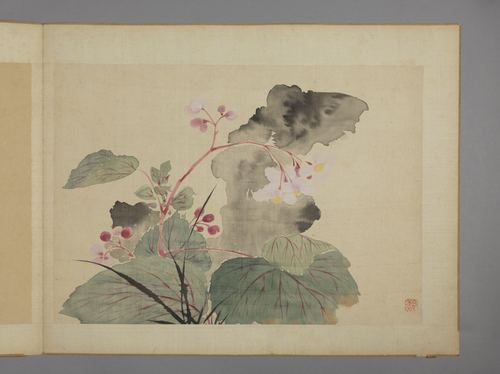 华喦花卉图册, , Hua Yan