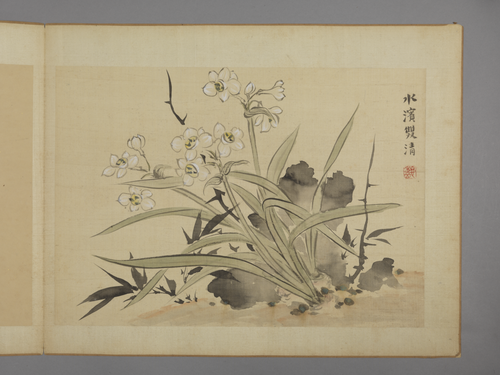 华喦花卉图册, , Hua Yan