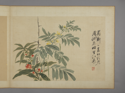 华喦花卉图册, , Hua Yan