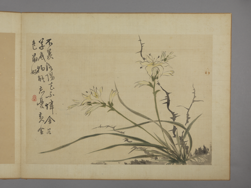 华喦花卉图册, , Hua Yan