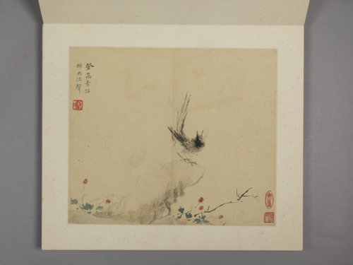 华喦花鸟册, , Hua Yan