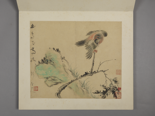 华喦花鸟册, , Hua Yan