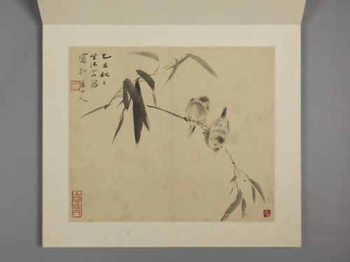 华喦花鸟册, , Hua Yan