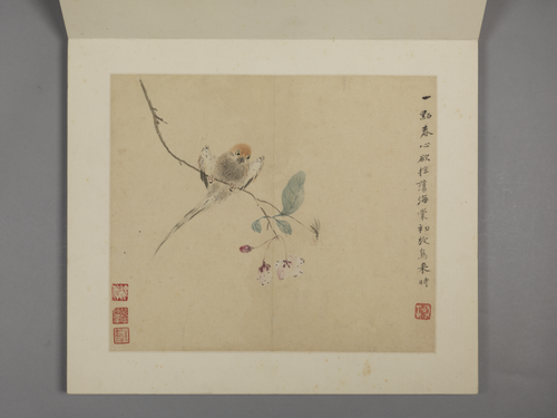 华喦花鸟册, , Hua Yan