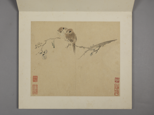 华喦花鸟册, , Hua Yan