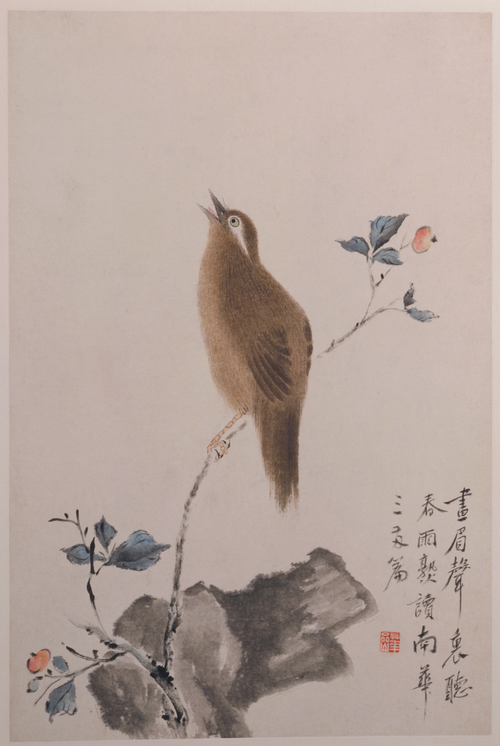 华喦花鸟册, , Hua Yan