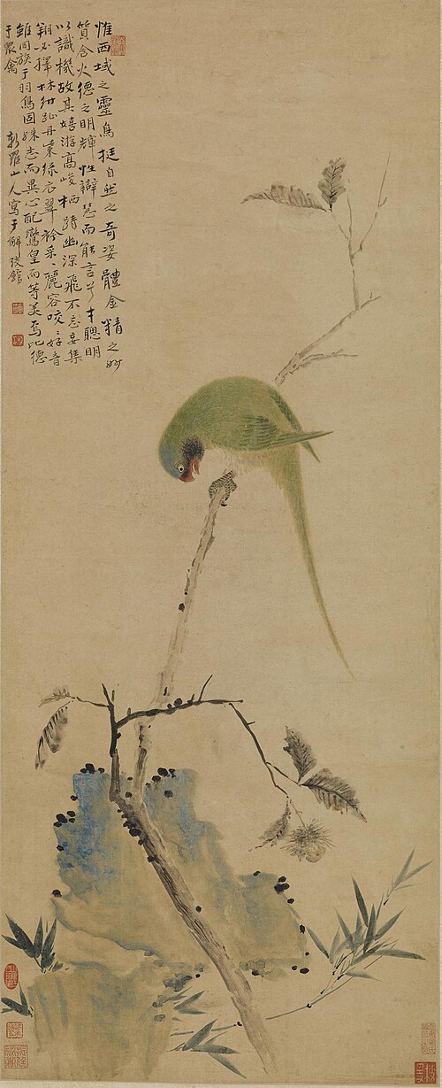 清 华喦 鹦鹉图轴, , Hua Yan