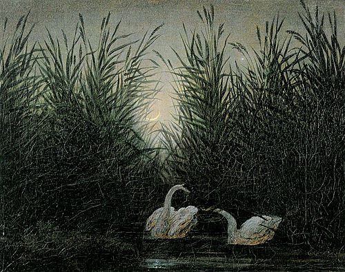 Swans in the Reeds, 1820, Caspar David Friedrich