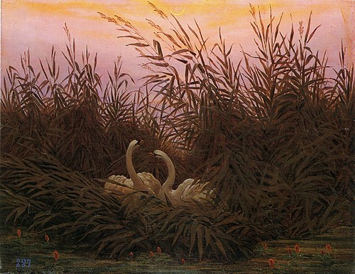 Cygnes dans les roseaux à la première aube, 1832, Caspar David Friedrich