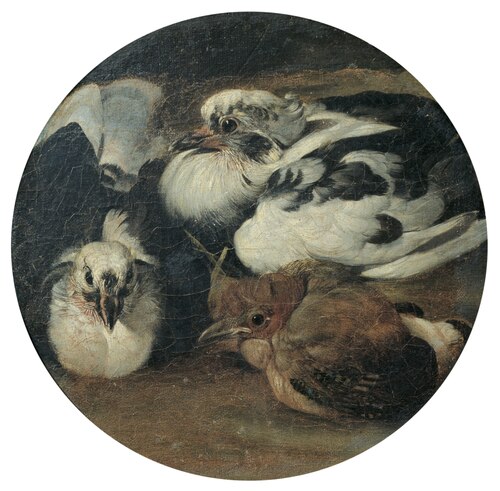 Due piccioni e un tordo, , Sinibaldo Scorza