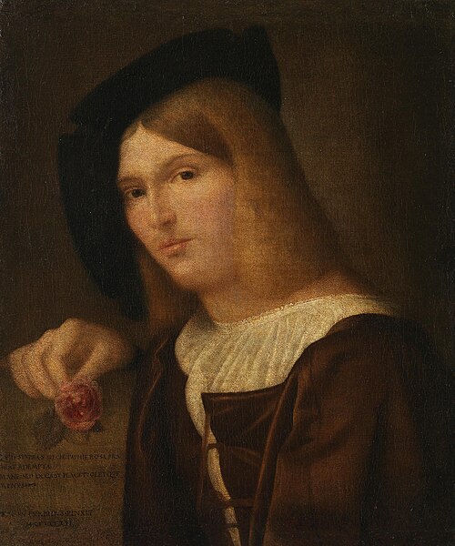 Portrait of a young man with a rose in his hand, 1522, Francesco Torbido
