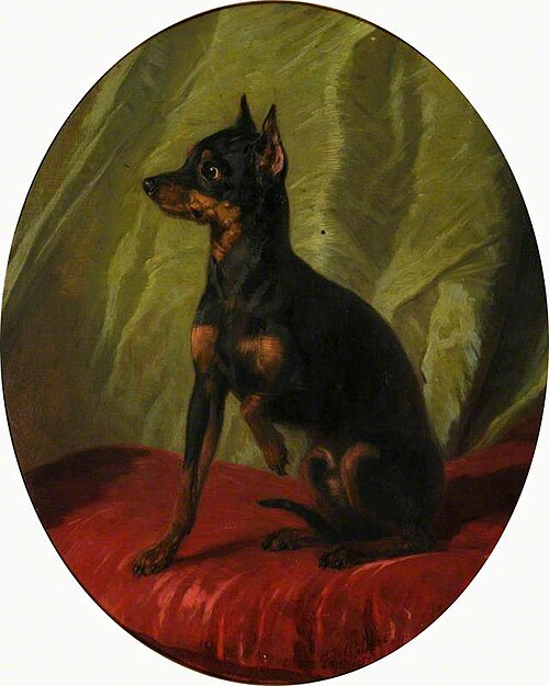 A Manchester Terrier, 1859, Filippo Palizzi