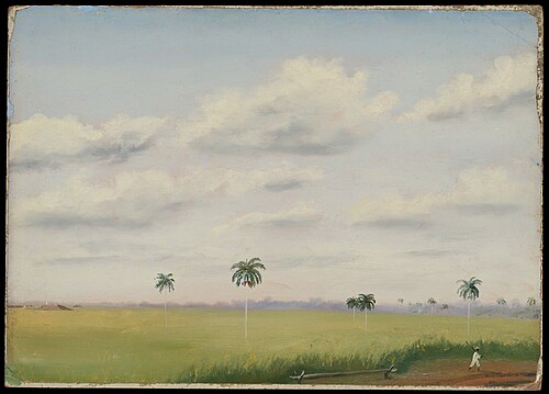 Ingo, San Martin, Cuba, 1859, Charles De Wolf Brownell