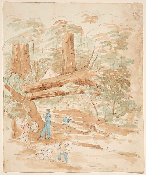 [Gold mining, Driving Creek, Coromandel. 1852], 1852, Charles Heaphy