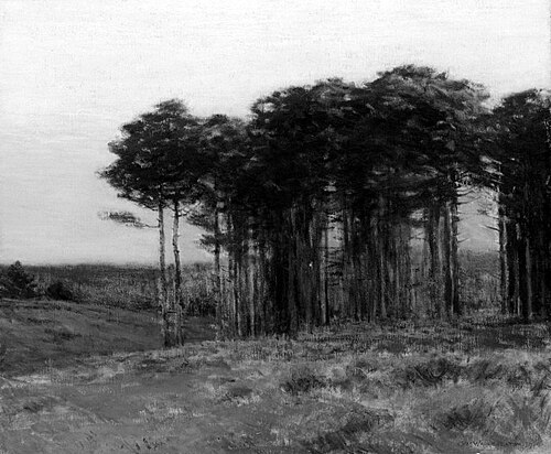 Connecticut Pines, 1904, Charles Warren Eaton