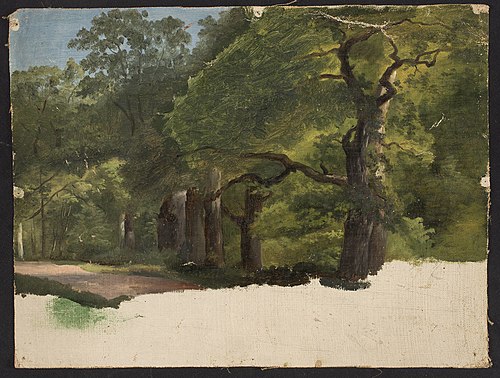 Forest landscape, sketch, , Chrystian Breslauer