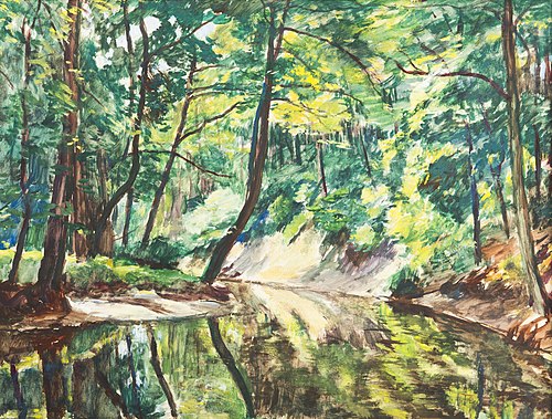 Brook in the Forest, , Antonín Hudeček