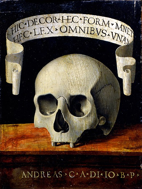 Portrait of a Man - Memento Mori, 1502, Andrea Previtali