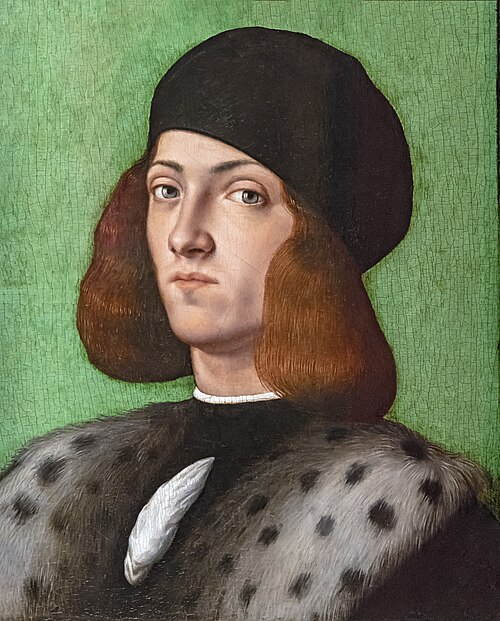 Portrait d'un jeune homme au bonnet noir, 1550, Andrea Previtali