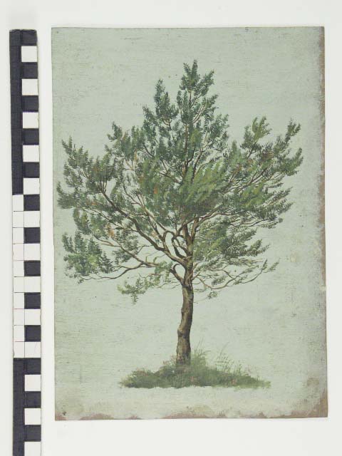 Olieverfstudie van een boom, , Jan Wessel van Delden