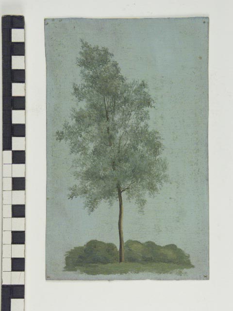 Olieverfstudie van een boom met een deel van een bosgezicht, , Jan Wessel van Delden