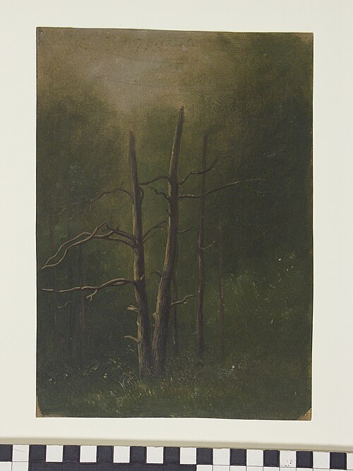 Studie van een groep dode bomen omgeven door groen, 1824, Jan Wessel van Delden