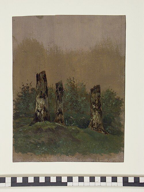 Studie van drie staande boomstronken in het groen, 1824, Jan Wessel van Delden