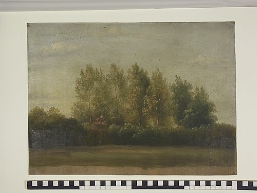 Bomen voor de kamp bij 't huis Boerkamp, 1840, Jan Wessel van Delden