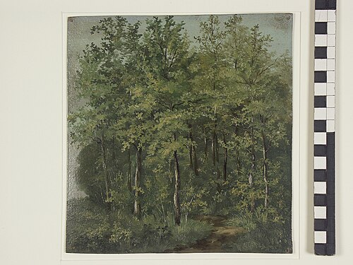 Studie van een groene bosrand met pad, 1840, Jan Wessel van Delden