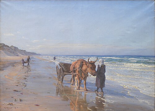 Kystboerne drager vod i landingen, 1898, N.P. Mols