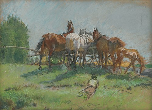 Kone, 1900, Nándor Katona