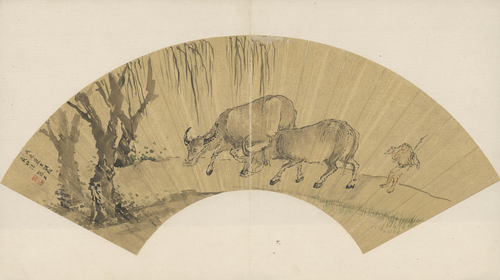 张宏画牛扇页, , Zhang Hong
