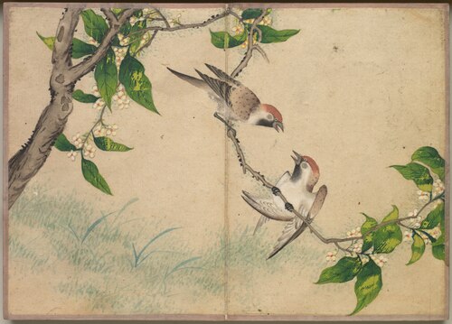 Desk Album: Flower and Bird Paintings (Gossiping Sparrows), 1750, Zhang Ruoai