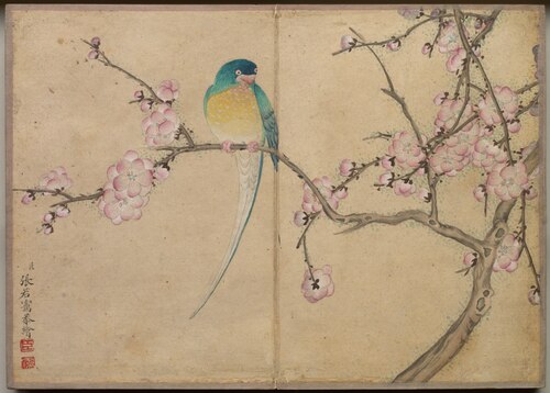 Desk Album: Flower and Bird Paintings (Bird with Plum Blossoms), 1750, Zhang Ruoai
