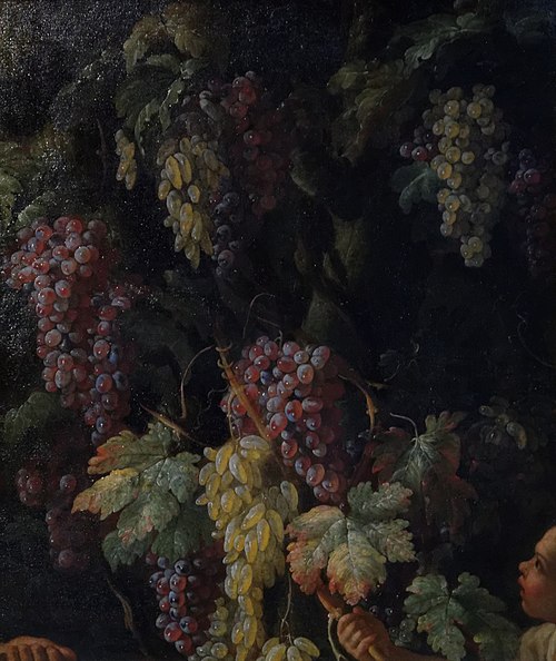 Grappes de raisin autour d'un tronc d'arbre, 1725, Giovanni Battista Ruoppolo