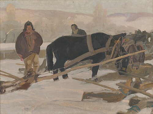 Furmani, 1901, Alexander Kubínyi