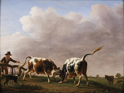 Combat de deux jeunes taureaux, 1835, Jean-Baptiste Berré