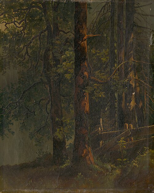Interiér lesa, 1860, Károly Lajos Libay