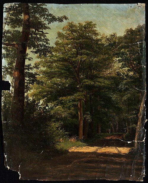 Frankenslag, zoals het vroeger was, 1873, Rosa Louise Henriette Asser