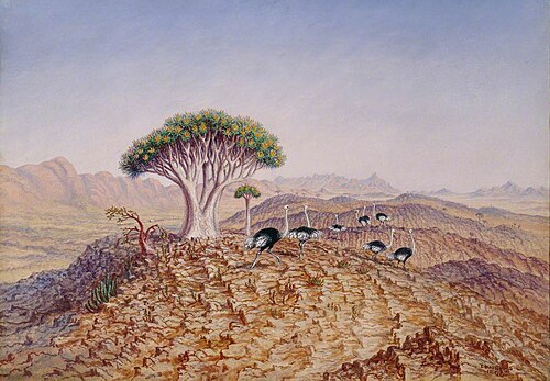 The Great Tree-Aloe of Damaraland, 1861, Thomas Baines