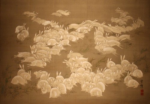 One Hundred Rabbits, , Ōoka Unpō