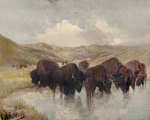 Paysage avec troupeau de buffles, 1900, Julius Rorphuro
