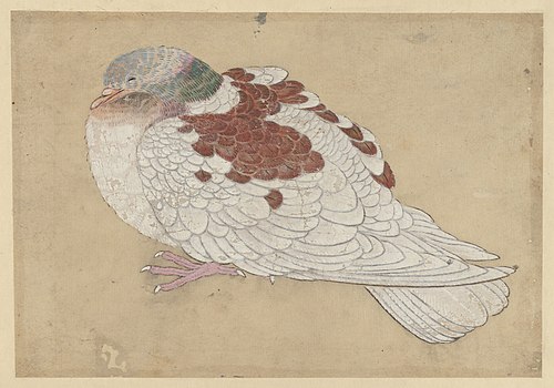 Bird, 1723, Haritsu Ogawa