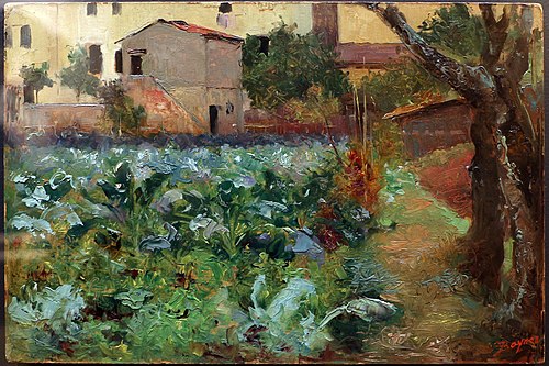 Campo di cavoli presso la vecchia via Frusa a Firenze, 1901, Gualtiero Baynes