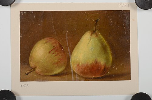 Olieverfschilderij van twee peren, , Jacob de Bleyker (sr.)